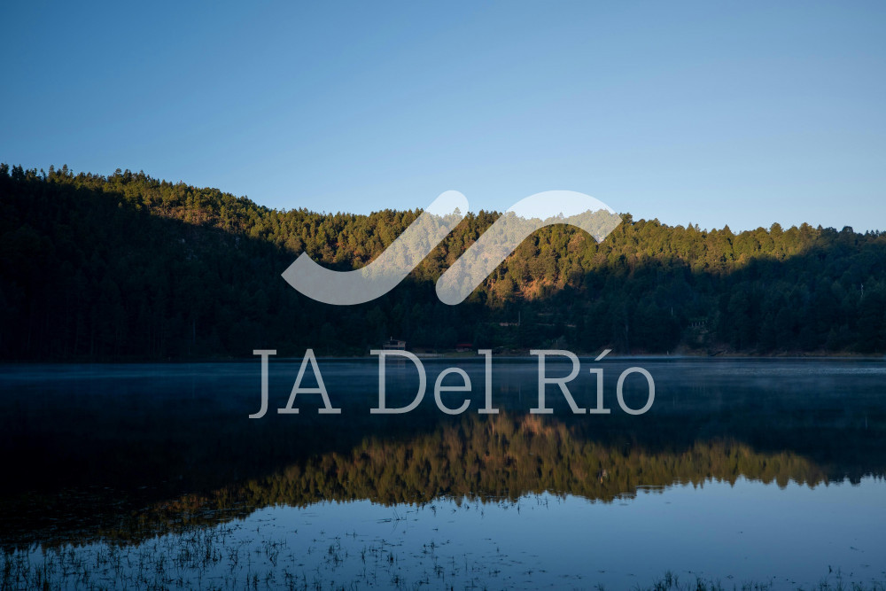 Nuevo Valor de la Unidad de Medida y Actualización (UMA), aplicable a partir del 1 de febrero de 2026