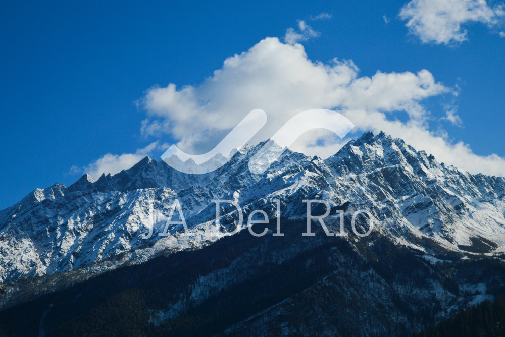 Postponement of the implementation of the Electronic Value Manifestation