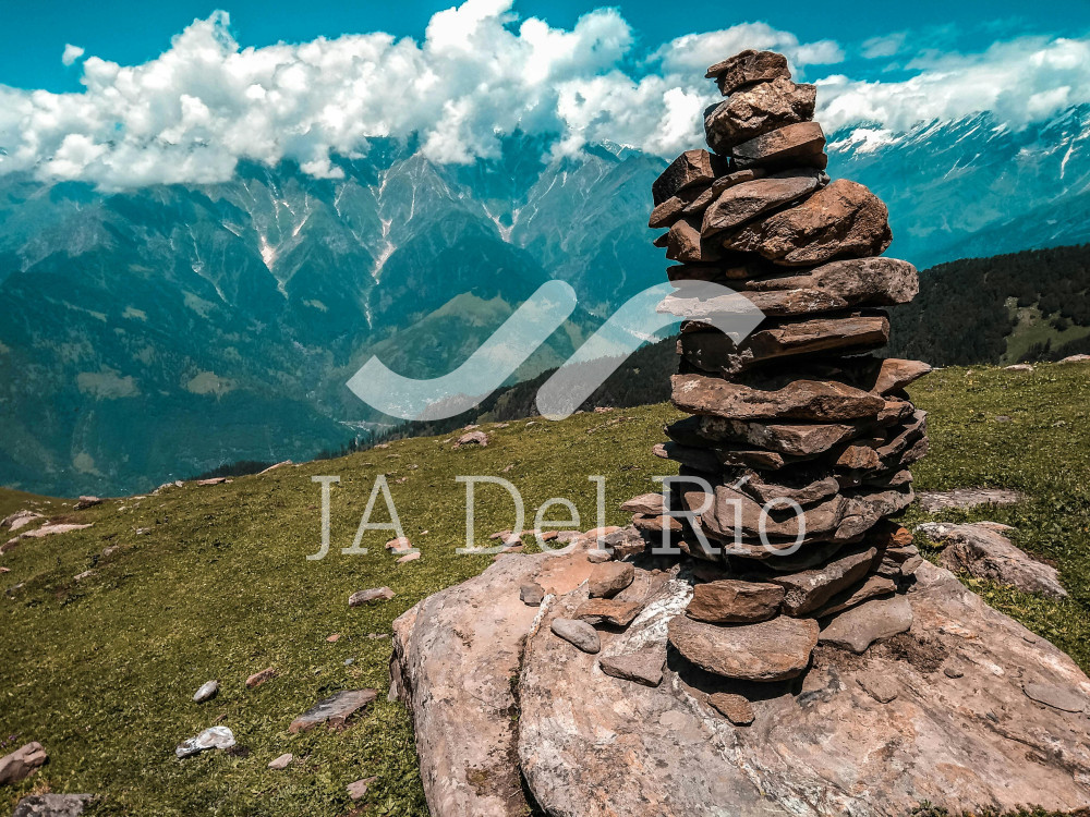 Renewal of Registration under the Company Certification Scheme (VAT, IEPS and AEO)