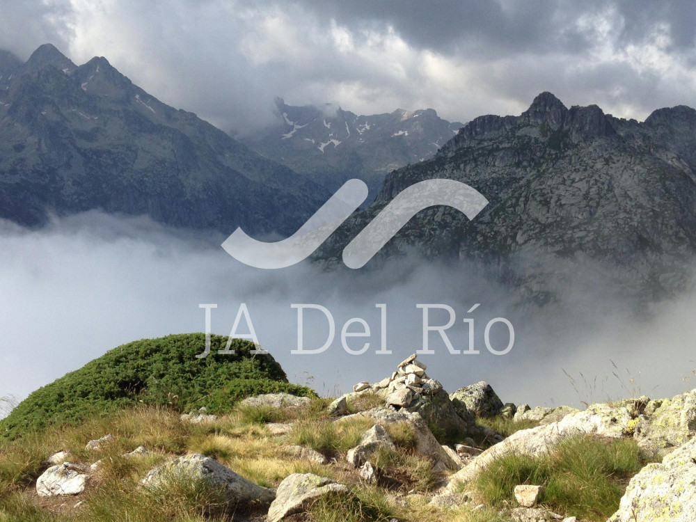 Annual Foreign Trade Operations Report (RAOCE)