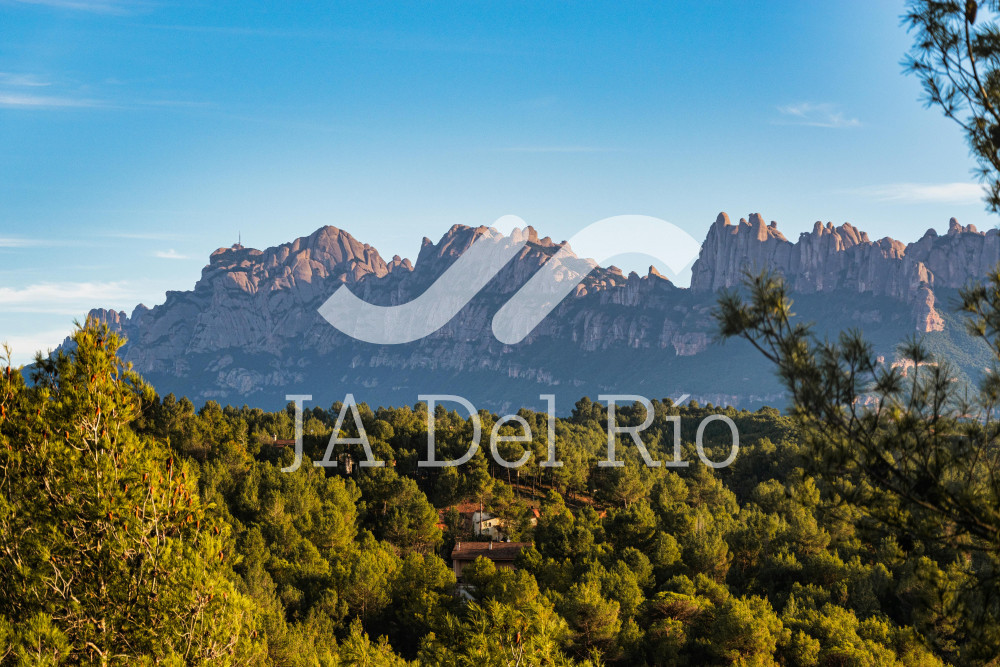 ANNUAL INCOME TAX RETURN FOR INDIVIDUALS