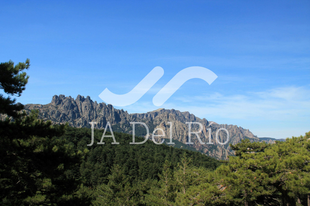 Primera resolución de modificaciones a las Reglas Generales de Comercio Exterior para 2026 - Primera versión anticipada