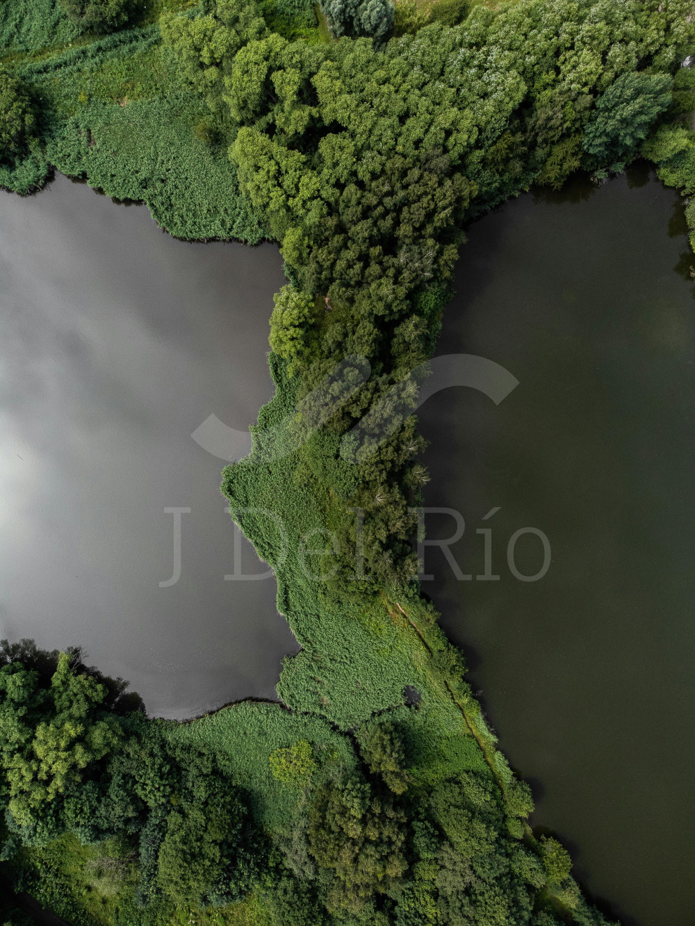 Actualización jurisprudencial en derechos laborales y seguridad social