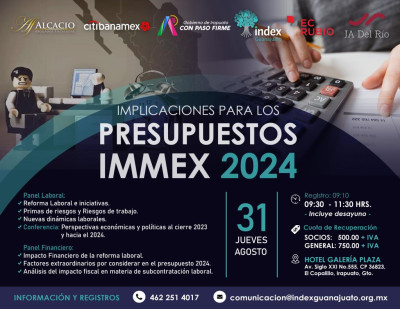 Implications for IMMEX Budgets 2024