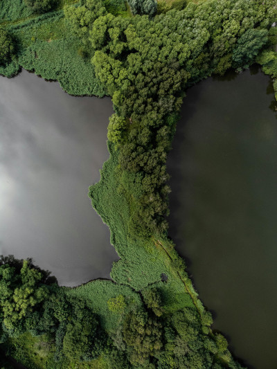 Jurisprudential Update on Labor and Social Security Matters