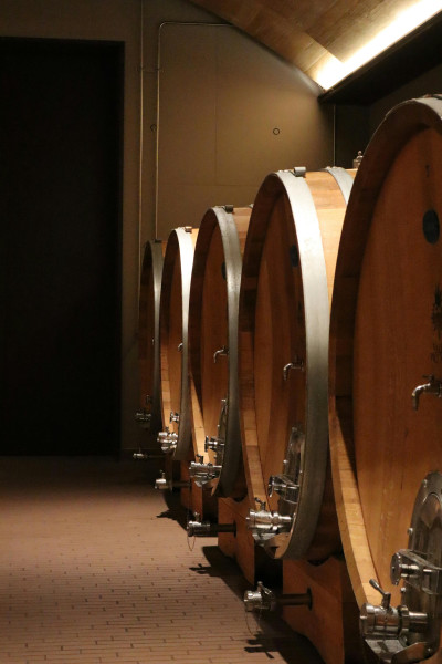 Tax Considerations of Section XXIII of Article 28 of the Mexican Income Tax Law (LISR) in Royalty and Trademark License Payments in the Alcoholic Beverages Sector