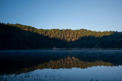 Nuevo Valor de la Unidad de Medida y Actualización (UMA), aplicable a partir del 1 de febrero de 2026