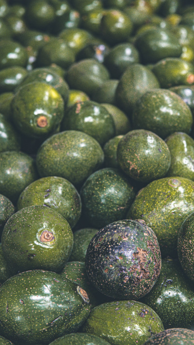 Nuevas obligaciones para la exportación de aguacate: Certificado Laboral para la Agroexportación (CLA)